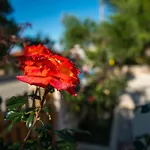 公寓 Casa Di Porto Roma