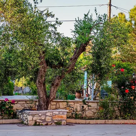 Lejlighed Casa Di Porto Roma *