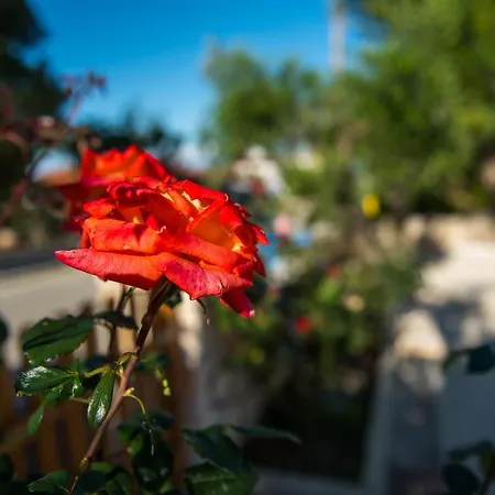 דירה Casa Di Porto Roma