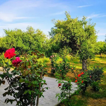 Casa Di Porto Roma * Vasilikí